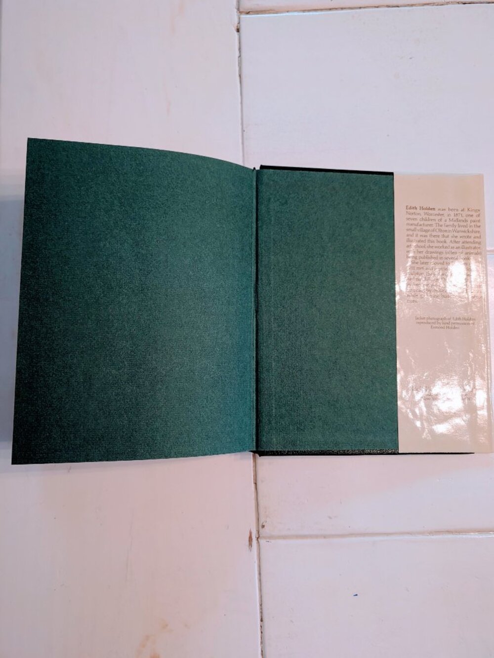 1977 The Country Diary of an Edwardian Lady Edith Holden HC/DJ 1st Ed 2nd Print - Picture 10 of 11